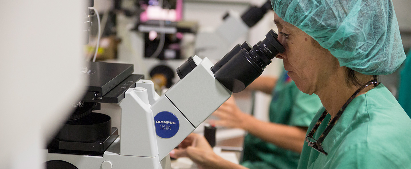 HQBarcelona-Laboratorio-01