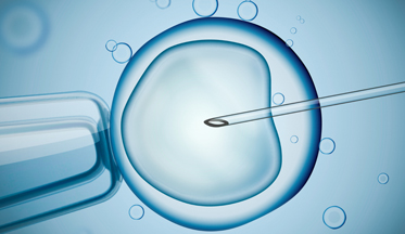 Fertilizacion-in-vitro