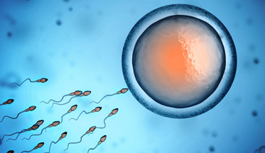 Inseminacion-artificial